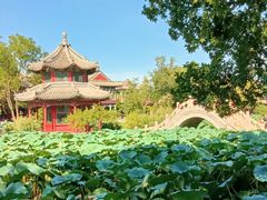 -莲池书院博物馆