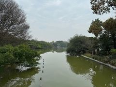 -江心屿景区