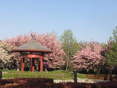 -洛阳市隋唐城遗址植物园