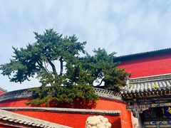 -五台山风景名胜区