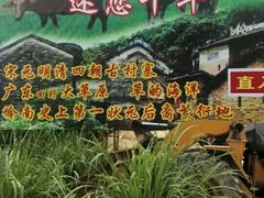 -玉龙寨旅游景区