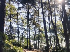 -綦江古剑山