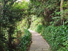 -水濂山森林公园