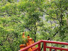-东莞观音山旅游风景区