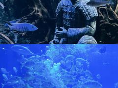 -华夏文旅海洋公园