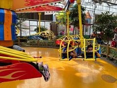 -南宫五洲植物乐园