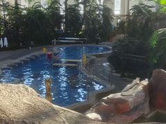 -中家鑫园温泉酒店鑫悦汤泉