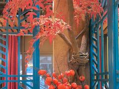 -黄泥岗·地道湖北菜(奥特莱斯店)