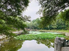 -高尔山公园