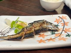 -黑松白鹿(金融街店)