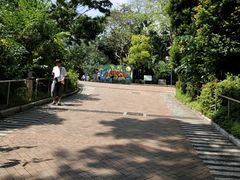 -九龙公园
