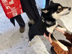 -lululemon(新天地店)