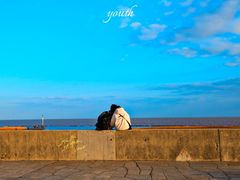 -南汇嘴观海公园