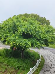 点击看大图 -玄武湖景区-情侣园游乐场