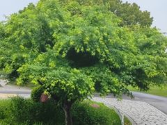 -玄武湖景区-情侣园游乐场