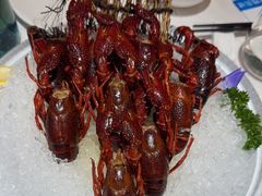 -洪福龙虾