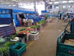 -重振华中蔬菜批发市场(重庆中路店)