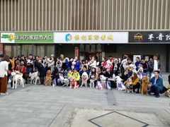 -保利国际影城(万家邻里店)