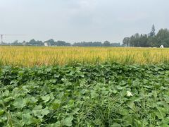 -中国天府农业博览园