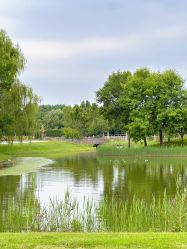 -圣露庄园·草坪婚礼·宴会厅·会议