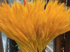 -尽善百年古院餐厅(王家老宅店)