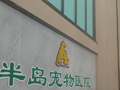 -半岛宠物医院24小时(科华中路店)
