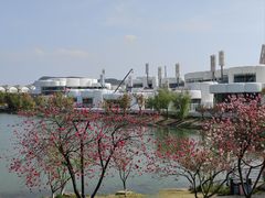 -羊山湖公园