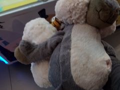 -PAWTOY爪e玩偶店(天兴罗斯福店)