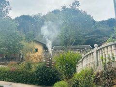 -雁南飞茶田景区