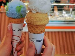 地球冰淇淋-Dal Cuore 达可芮冰淇淋(陕西北路店)
