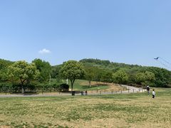 -羊山湖公园