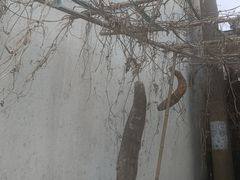 -水岸居湖景农家乐·阳澄湖大闸蟹