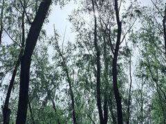 -森林公园(尖草坪区)