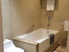 -圣爵菲斯大酒店(长沙世界之窗店)