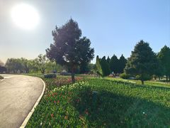 -石家庄市植物园
