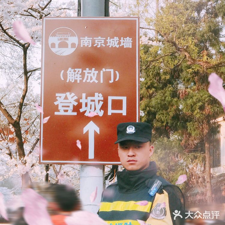 梦回金陵🌸我在樱花树下等你