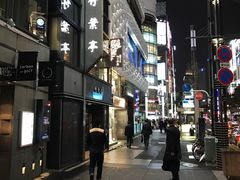 -竹叶亭(银座店)