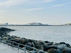 -上海滨江森林公园