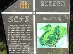 -白水寺森林公园