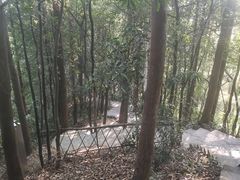 -水濂山森林公园