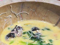 -云中鱼蒸汽石锅鱼(浦东食品城店)