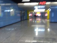 -大龙山(地铁站)