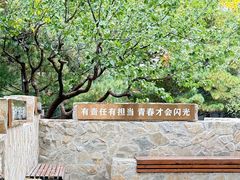 -玲珑塔公园