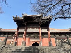 -善化寺