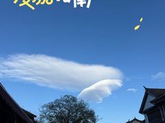 -段公子·精品云南菜