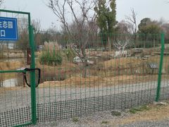 -东湖落雁景区