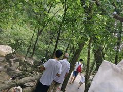 -牛背梁国家森林公园