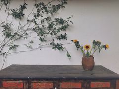 -云里小坐·小院里·团建·宴请·下午茶(三圣乡店)