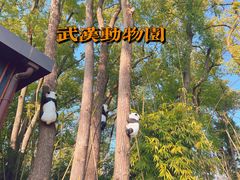 -武汉动物园