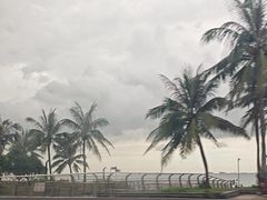 -西秀海滩公园